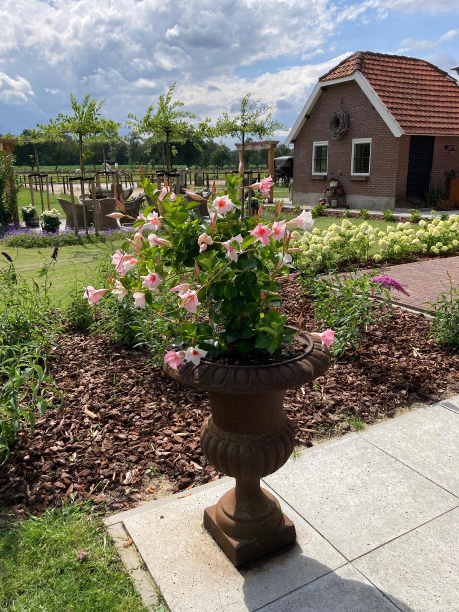 Bed & Breakfast Hoeve Happiness - Ontbijt Inbegrepen - Wellness Aanwezig Voorthuizen Exterior foto