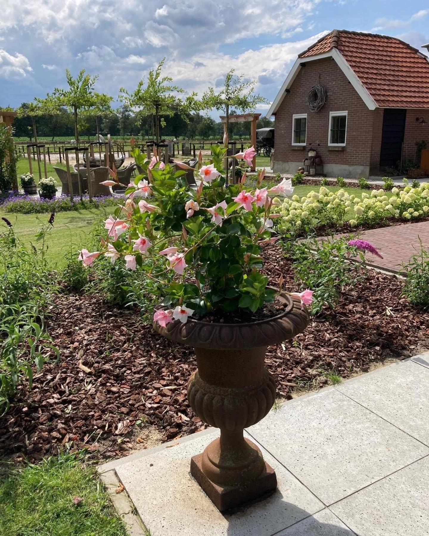 Bed & Breakfast Hoeve Happiness - Ontbijt Inbegrepen - Wellness Aanwezig Voorthuizen Exterior foto