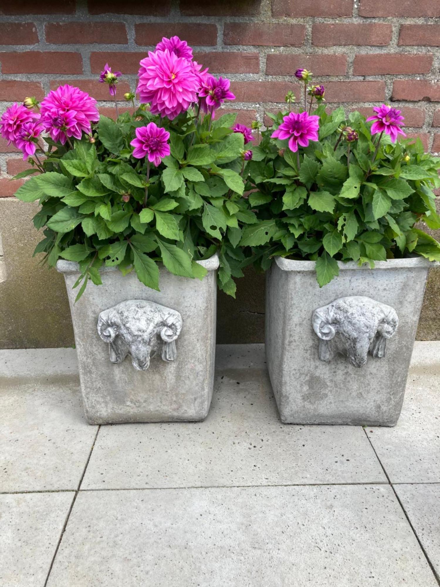 Bed & Breakfast Hoeve Happiness - Ontbijt Inbegrepen - Wellness Aanwezig Voorthuizen Exterior foto